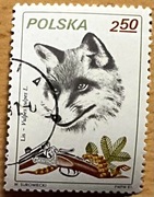 2604, * kasowany, Łowiectwo