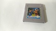 Best of the Best Championship Karate Game Boy