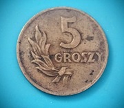 MONETA 5 groszy 1949 Polska Bez znaku mennicy DESTRUKT Błąd pazura i pióra 
