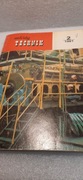 Młody Technik 2/1981