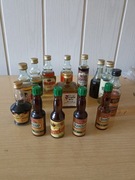 kolekcja-zestaw  małych buteleczek wódeczek z różnym alkoholem z Europy