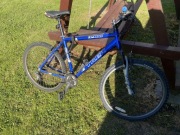 Rower TREK 3900 Rama TREK