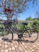 Rower miejski (damski) BATAVUS