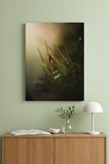 Fotoobraz na płótnie 50x70 – Mech | Natura | Prezent Ciemna zieleń