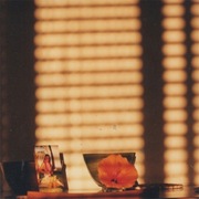 Mike Cooper Light on a Wall