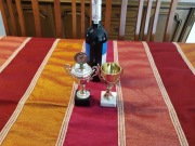 Puchar, trofeum