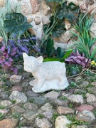 Figura ogrodowa buldog francuski 