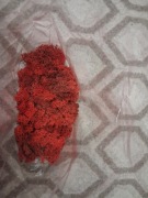 Mech czerwony bez główek 100 g