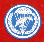 Naszywka Desant na niebieskim tle gumowana