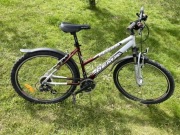 Rower Górski Dema Pegas