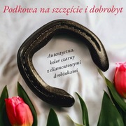 Podkowa na szczęście,  prawdziwa końska