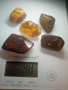 Pięć naturalnych bursztynów bałtyckich 48g.