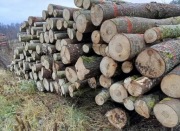 Drewno opałowe Liściaste/Iglaste w dobrej cenie 