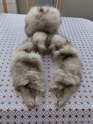 Czapka z kołnierzem 