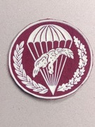 Naszywka oznaką 6PDPD, typ IV, og9lnodywizyjna