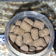 Feeder bait oszust spice meat 