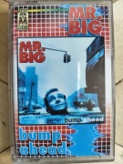 MR.Big -bump ahead 