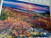 Obraz Ułożone puzzle 1000 sztuk w antyrama