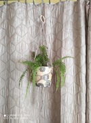 Kwietnik makramowy "Ceropegia XL"