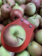 Jabłka ! DROBNE ! Fuji Kiku Fubrax 9 kg