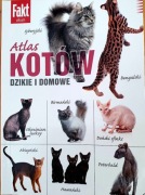 Mały atlas kotów