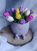 Box z kolorowych tulipanów 