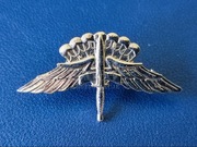 US Army / Air Force Military Freefall Parachutist Badge