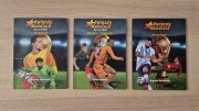 Gwiazdy mundialu Katar 2022 Napastnicy Bramkarze Obrońcy i Pomocnicy Zlatan