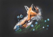 Fox pastel suchy | Obraz ręcznie wykonany 