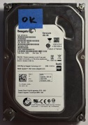 Dysk HDD 3.5 Seagate Barracuda ST250DM000 Rev. KC47 250 GB