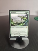 Endurance Modern Horizons 2 