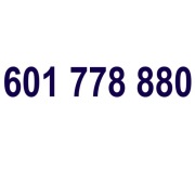 Złoty Numer 601 778 880