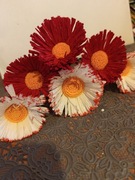 Kwiaty z bibuły krepy stokrotka komplet 10 szt