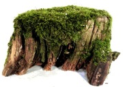 MECH DO TERRARIUM KM58  20/18/14