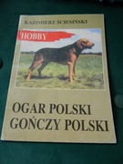 Ogar Polski Gończy Polski Seria Hobby Ściesiński 