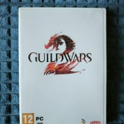 Gra komputerowa Guild Wars 2 (bez kodu)