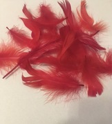 Piórka dekoracyjne czerwone 50g