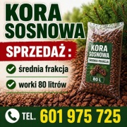 KORA SOSNOWA 17  zł / 80 litrów