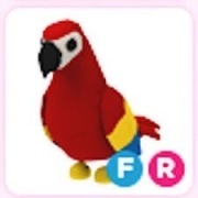 Parrot - Adopt Me! Roblox