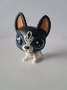 Littlest Pet Shop LPS piesek