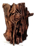 KORZEŃ DO AKWARIUM  155S   18/18/24