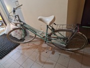 Rower damka holenderka