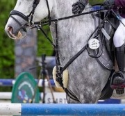 Napierśnik z wytokiem QHP z futerkiem BR, rozmiar pony 