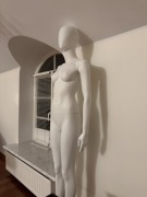 Manekiny calopostaciowe x 20