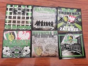 Vlepki Stal Stalowa Wola Zatorze #2