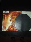 Tenis stołowy okładziny