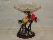 PATERA OWOCARKA Z PAPUGAMI BRIGHT SUN GIFTS + GRATIS !!!