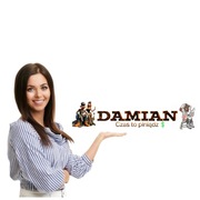 Tablica rejestracyjna lub mroźna pleksi, różne wymiary,Imienna + przyssawki