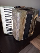 Akordeon Muza grajacy
