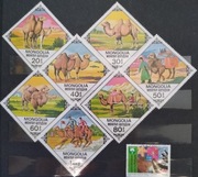 Fauna zwierzęta wielbłądy ssaki Mongolia